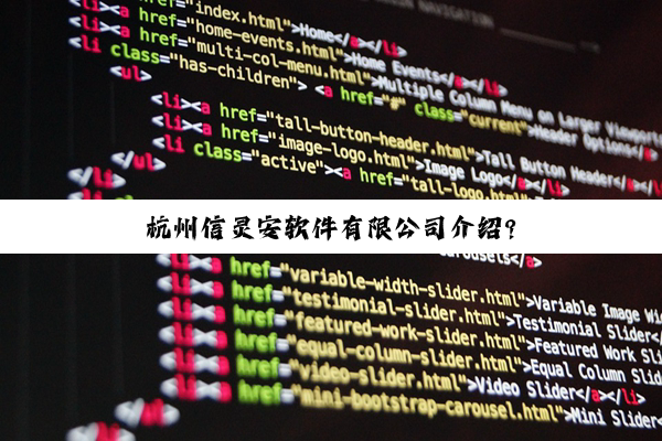 杭州信灵安软件有限公司介绍?